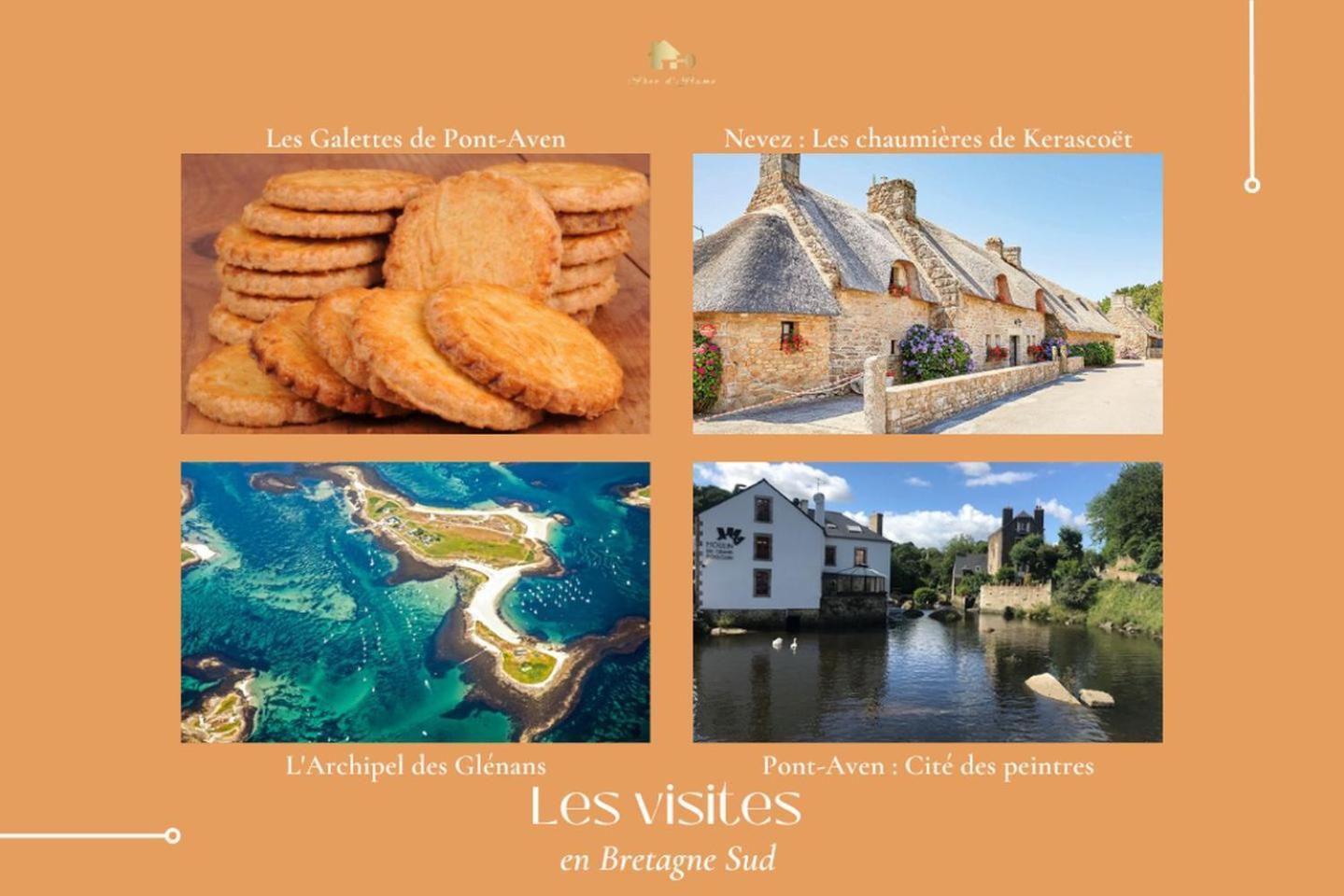 Le Belaven, Neuf, Cosy, Terrasse, Jardin, Kerfany Plage, 1 A 6 Pers Moëlan-sur-Mer Extérieur photo